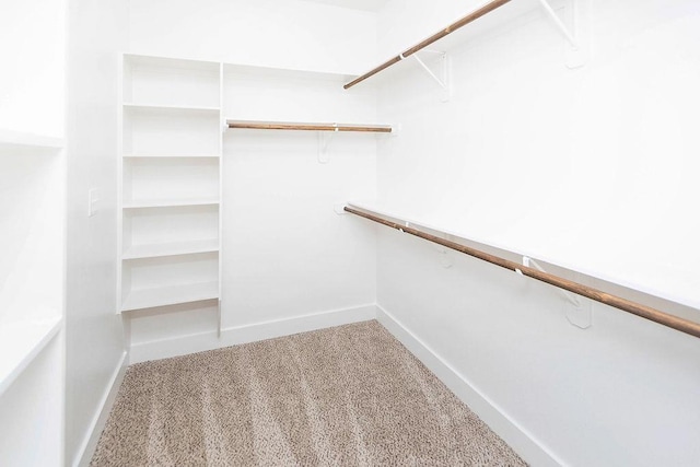 spacious closet with light colored carpet