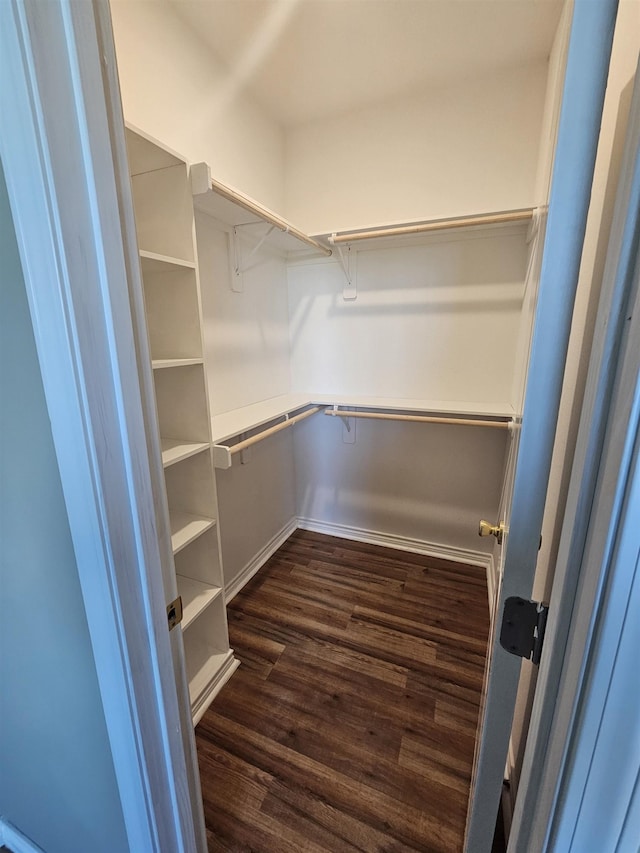 spacious closet featuring dark hardwood / wood-style flooring