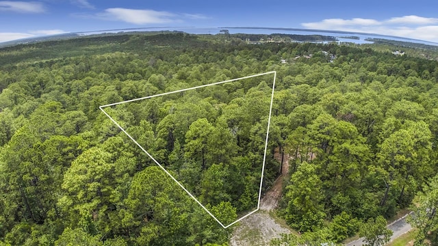 PID34467/34468 Sweetgum Dr, Brookeland, TX 75931