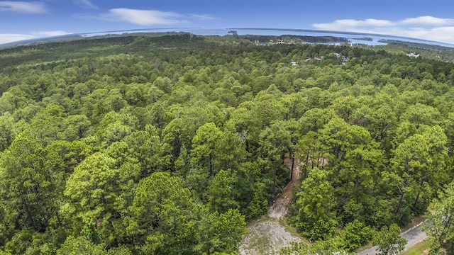 PID34467/34468 Sweetgum Dr, Brookeland, TX 75931