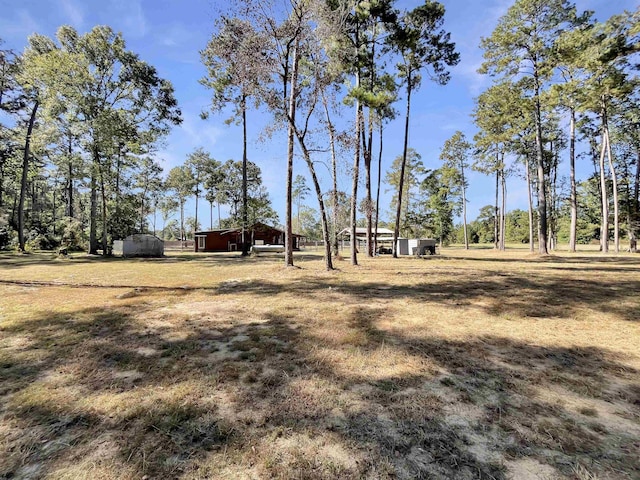 view of yard with an outbuilding