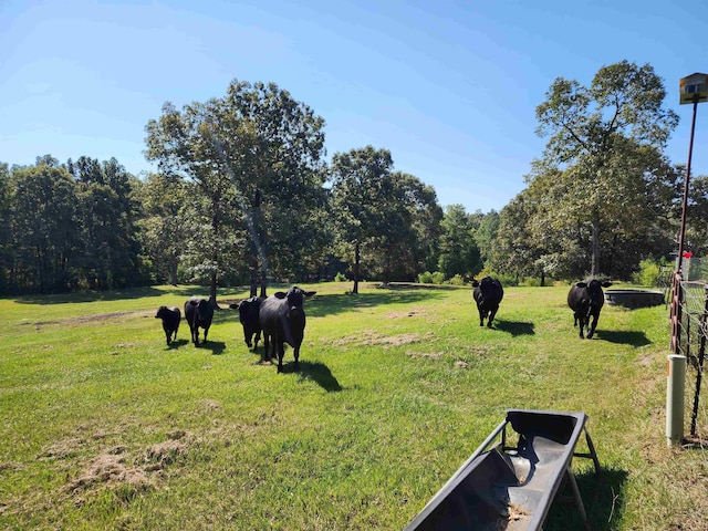 view of yard featuring a rural view