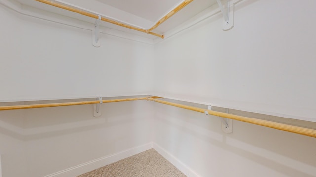 walk in closet featuring carpet floors