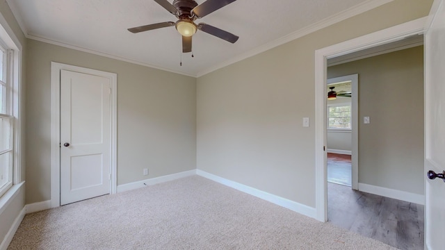 carpeted spare room featuring ornamental molding