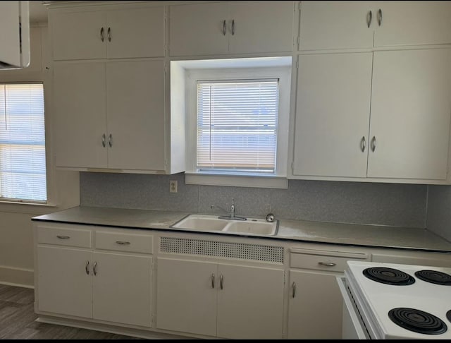 kitchen with white cabinetry and sink