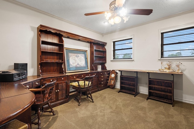 1911 Huntsman St, Orange, TX 77632 - home office with a ceiling fan, ornamental molding, plenty of natural light, carpet, and a textured ceiling