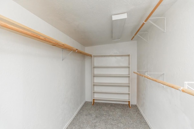 spacious closet with light carpet