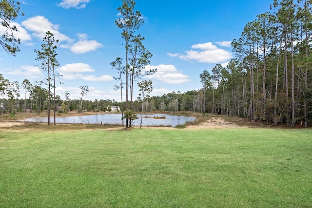 6795 Palace Dr, Lumberton, TX 77657 - photo 29