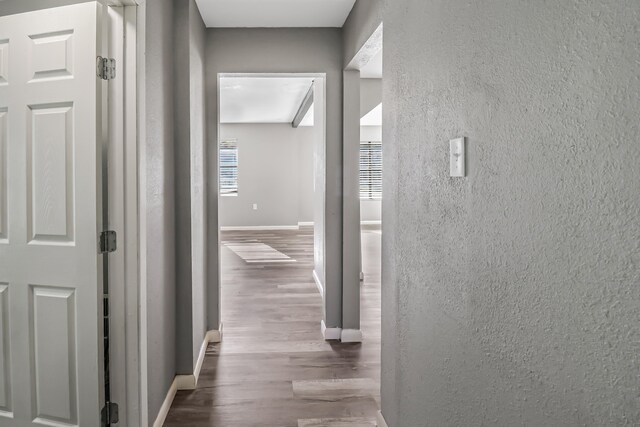 corridor featuring hardwood / wood-style flooring