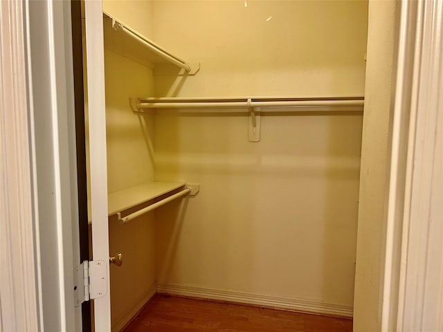 spacious closet with wood-type flooring