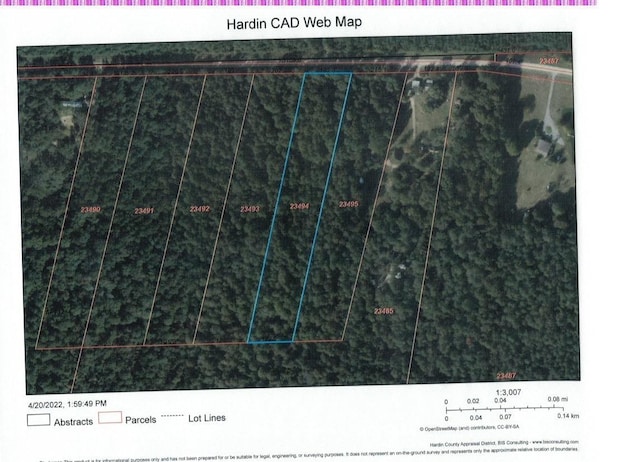 02 Old Bragg Rd, Kountze, TX 77625