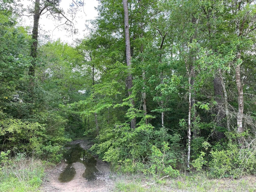 02 Old Bragg Rd, Kountze, TX 77625