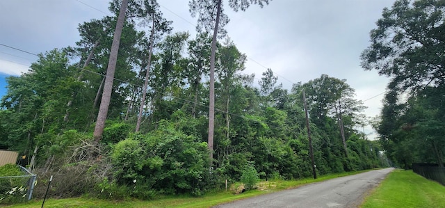 1790 Old Nona Rd, Kountze, TX 77625 - photo 3