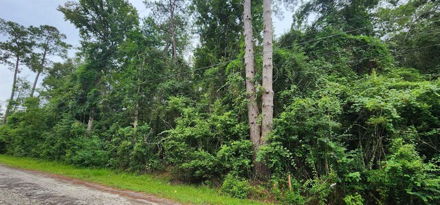 1790 Old Nona Rd, Kountze, TX 77625 - photo 13