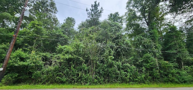 1790 Old Nona Rd, Kountze, TX 77625 - photo 7