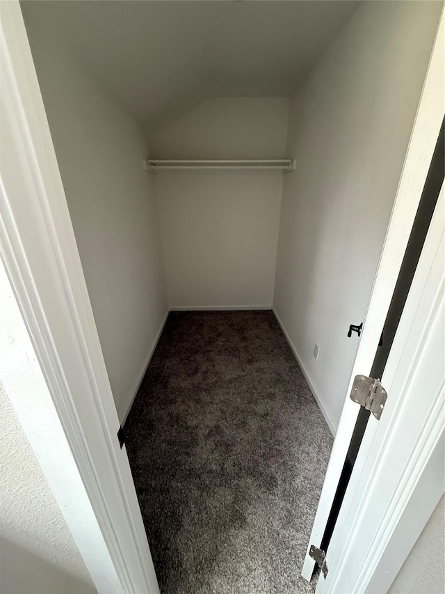 walk in closet with vaulted ceiling and carpet floors