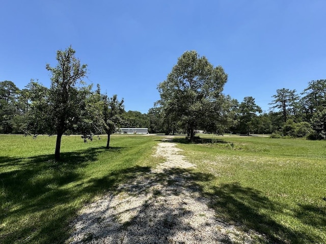 view of yard featuring a rural view