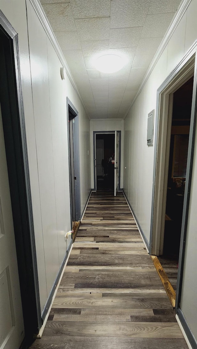 corridor featuring ornamental molding, a decorative wall, and wood finished floors