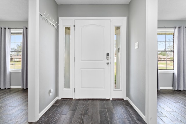 entrance foyer featuring dark hardwood / wood-style flooring