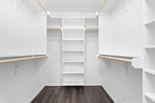 spacious closet with dark hardwood / wood-style flooring