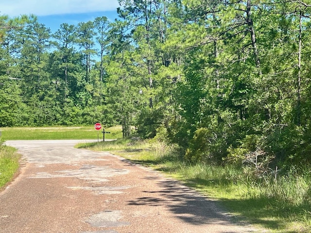 121 Champions Way, Brookeland, TX 75931