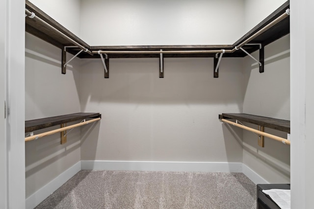 spacious closet with carpet floors