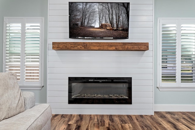 room details with a fireplace and hardwood / wood-style floors