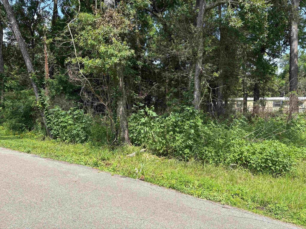 955 Vaughn, Vidor, TX 77662 - photo 2