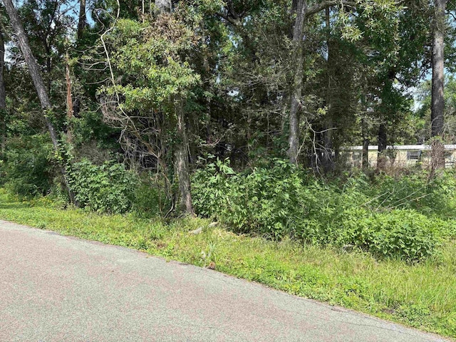 955 Vaughn, Vidor, TX 77662 - photo 2