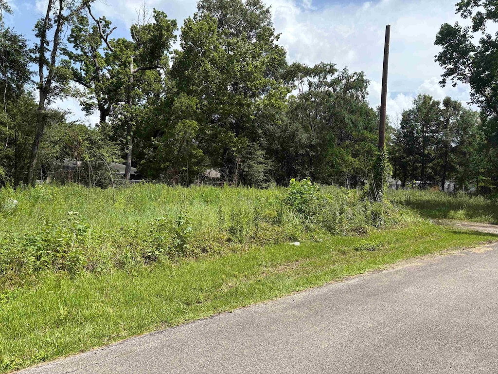 955 Vaughn, Vidor, TX 77662 - photo 1
