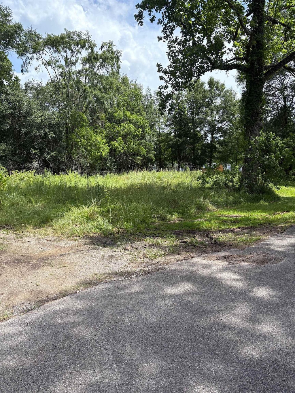 955 Vaughn, Vidor, TX 77662 - photo 3