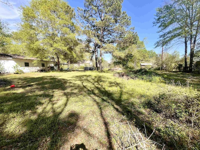 7521 Puntes Ln, Silsbee, TX 77659 - view of yard