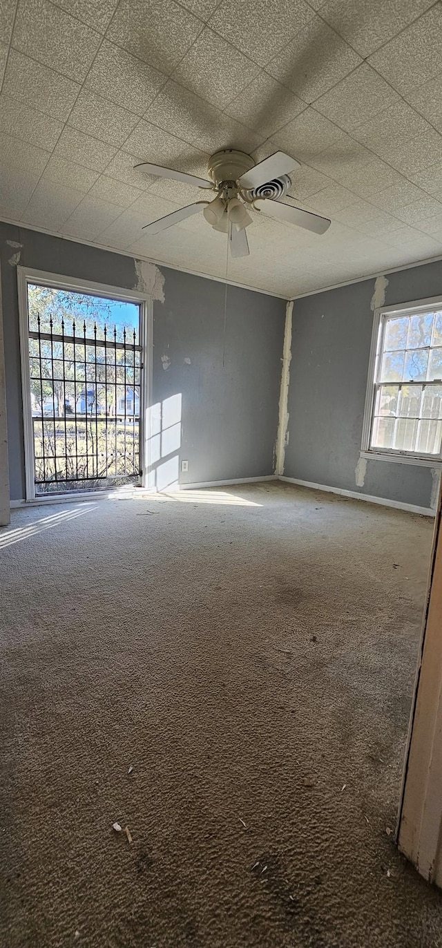 carpeted spare room with ceiling fan