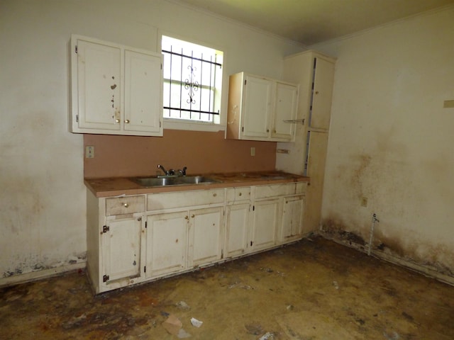 kitchen with sink and ornamental molding