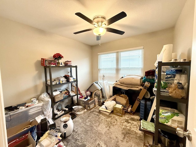 miscellaneous room with ceiling fan, carpet floors, and a textured ceiling