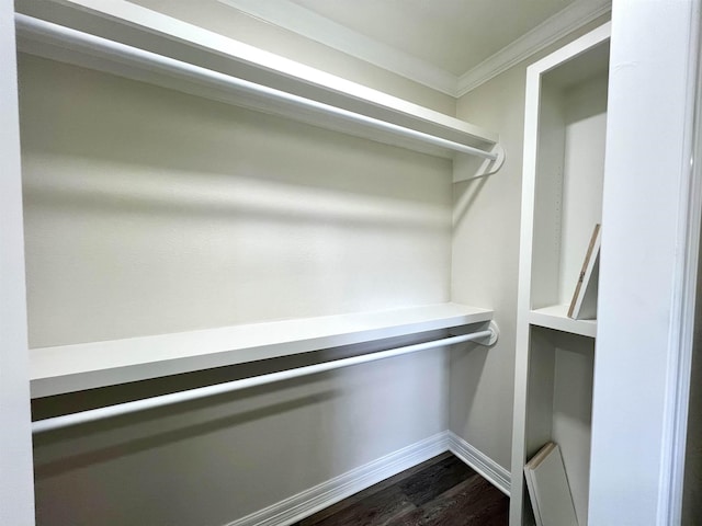 walk in closet with dark wood-type flooring