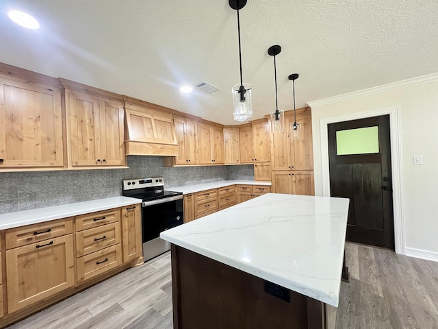 kitchen with premium range hood, tasteful backsplash, ornamental molding, decorative light fixtures, and stainless steel electric range