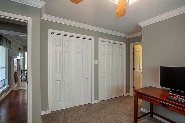 office space featuring ceiling fan, ornamental molding, and a healthy amount of sunlight