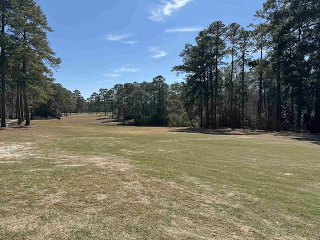 276 Broadmoor Dr, Brookeland, TX 75931 - view of green lawn featuring a wooded view