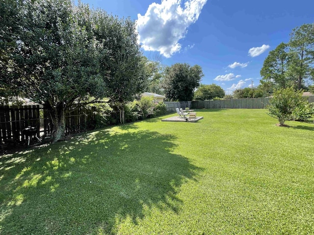 view of yard featuring a patio area