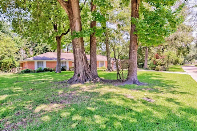 single story home featuring a front yard