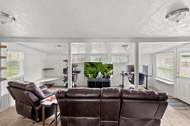 carpeted living area with lofted ceiling and a textured ceiling