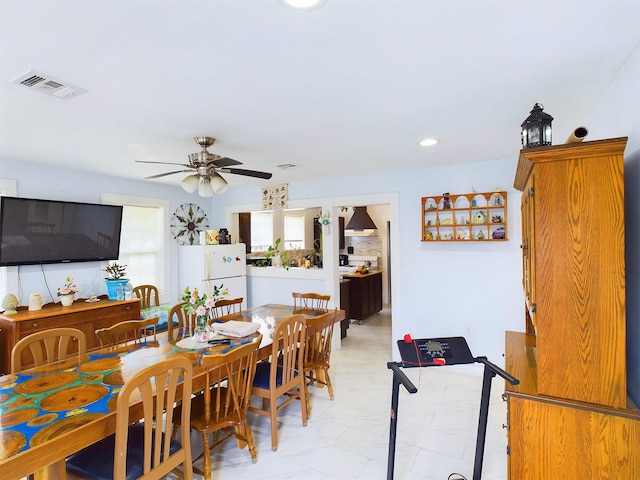 dining area with ceiling fan and a healthy amount of sunlight