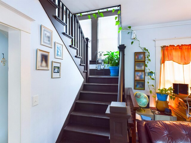 staircase with crown molding