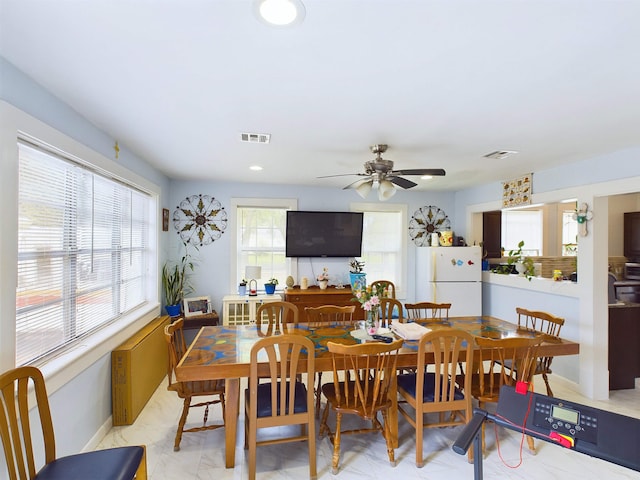 dining area with ceiling fan and plenty of natural light