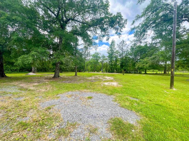 8140 Tx State Highway 62, Buna, TX 77612 - view of yard