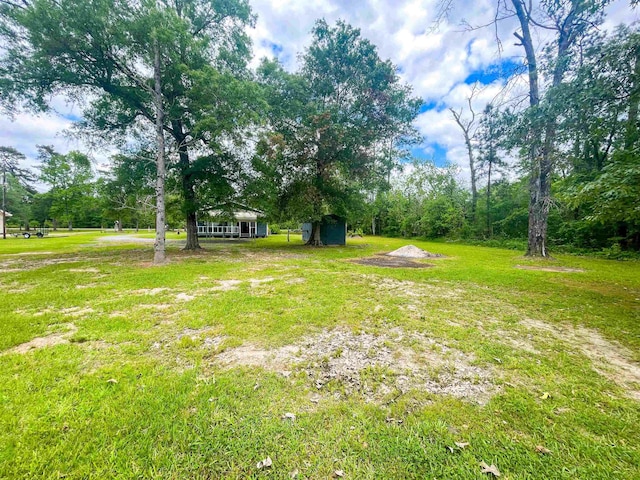 8140 Tx State Highway 62, Buna, TX 77612 - view of yard with an outbuilding