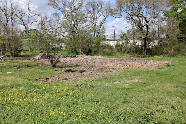 112 E Drew St, Kirbyville, TX 75956
