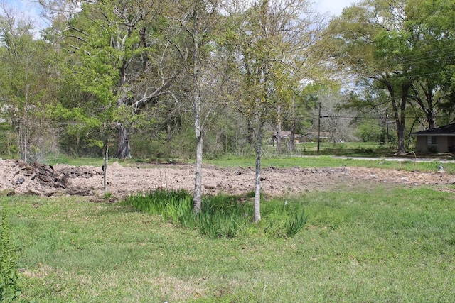 112 E Drew St, Kirbyville, TX 75956