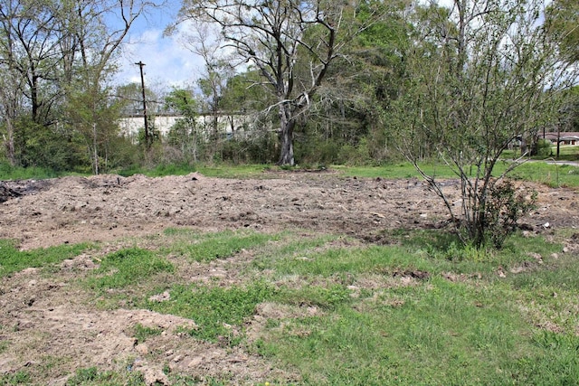 112 E Drew St, Kirbyville, TX 75956